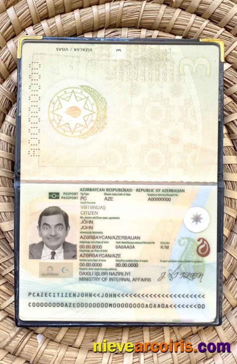 Azerbaijan passport photolook